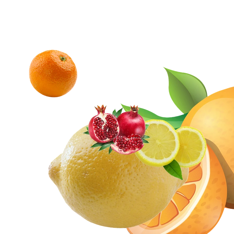 Cagette Éco Oranges à Jus & Mandarines (10 kg)